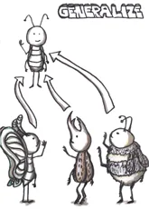 Generalize Generalize - RIMGEN card