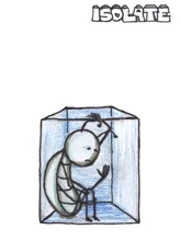 Isolate Isolate - RIMGEN card